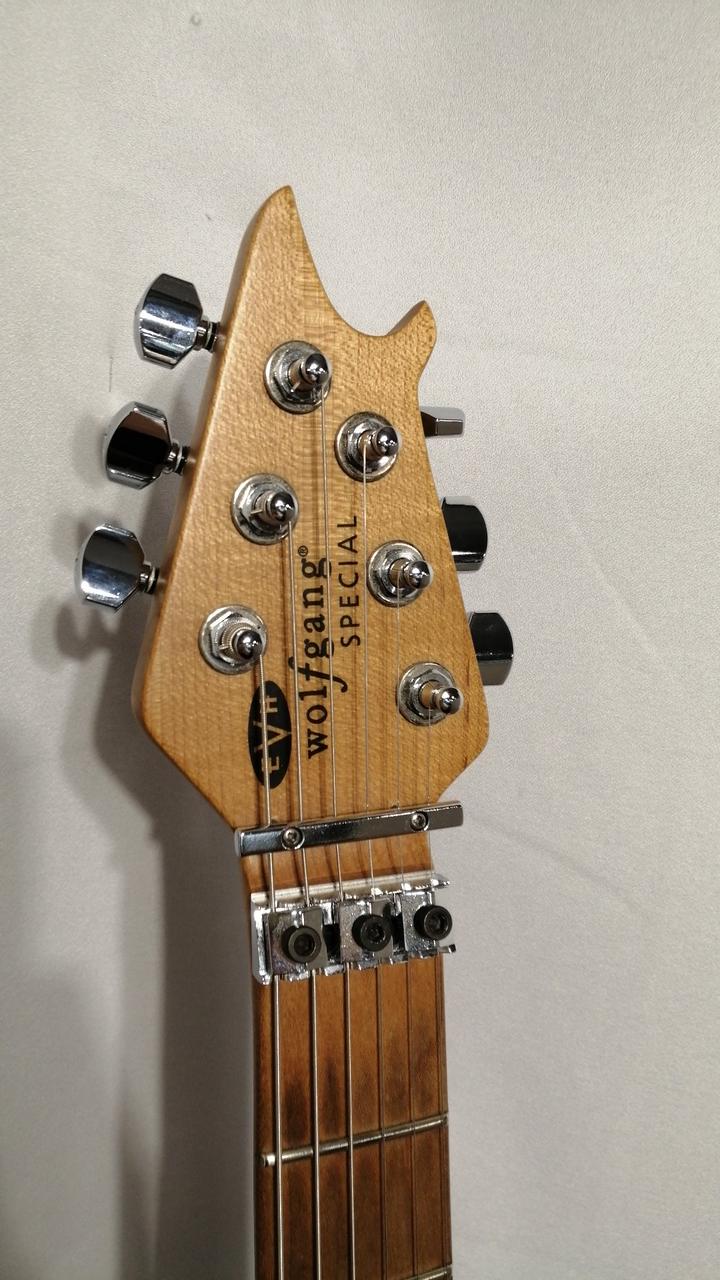 不明EVHタイプギター Amazon.com: EVH Wolfgang Standard QM Electric Guitar - Black