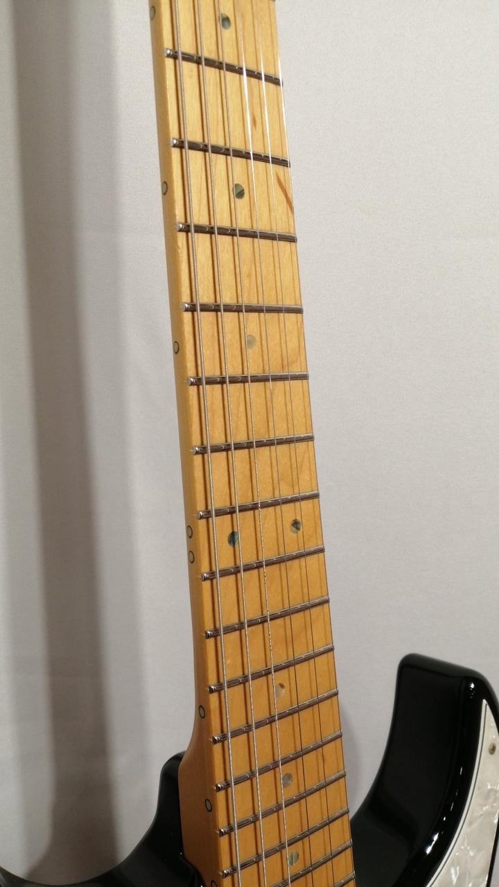 Fernandes フェルナンデス フェルナンデス エレキギター 弦楽器 H ギター レア Fernandes フェルナンデス シャチ Hシリーズ - メルカリ