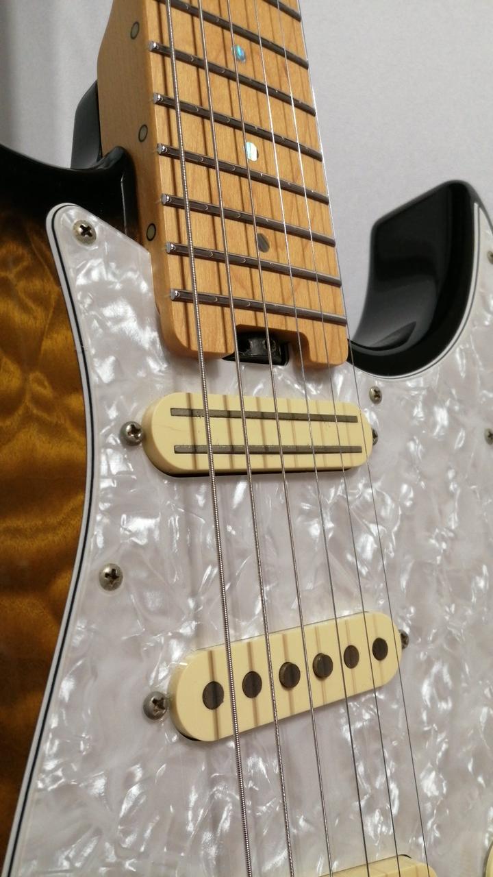 Fernandes フェルナンデス フェルナンデス エレキギター 弦楽器 H ギター レア Fernandes フェルナンデス シャチ Hシリーズ - メルカリ