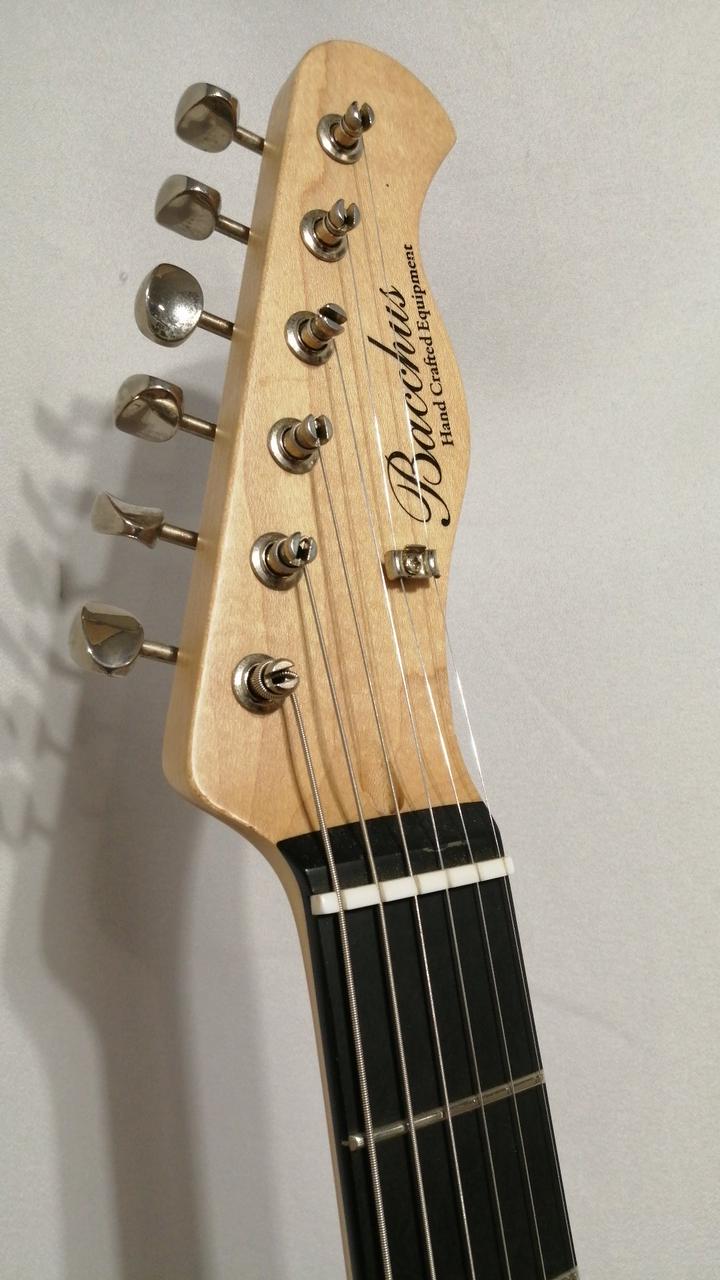 中古　レア！Bacchus BSG Hybrid + Tex-mex PU Fender x GibsonスタイルのBacchus限定モデルとその元ネタ│楽器屋店員