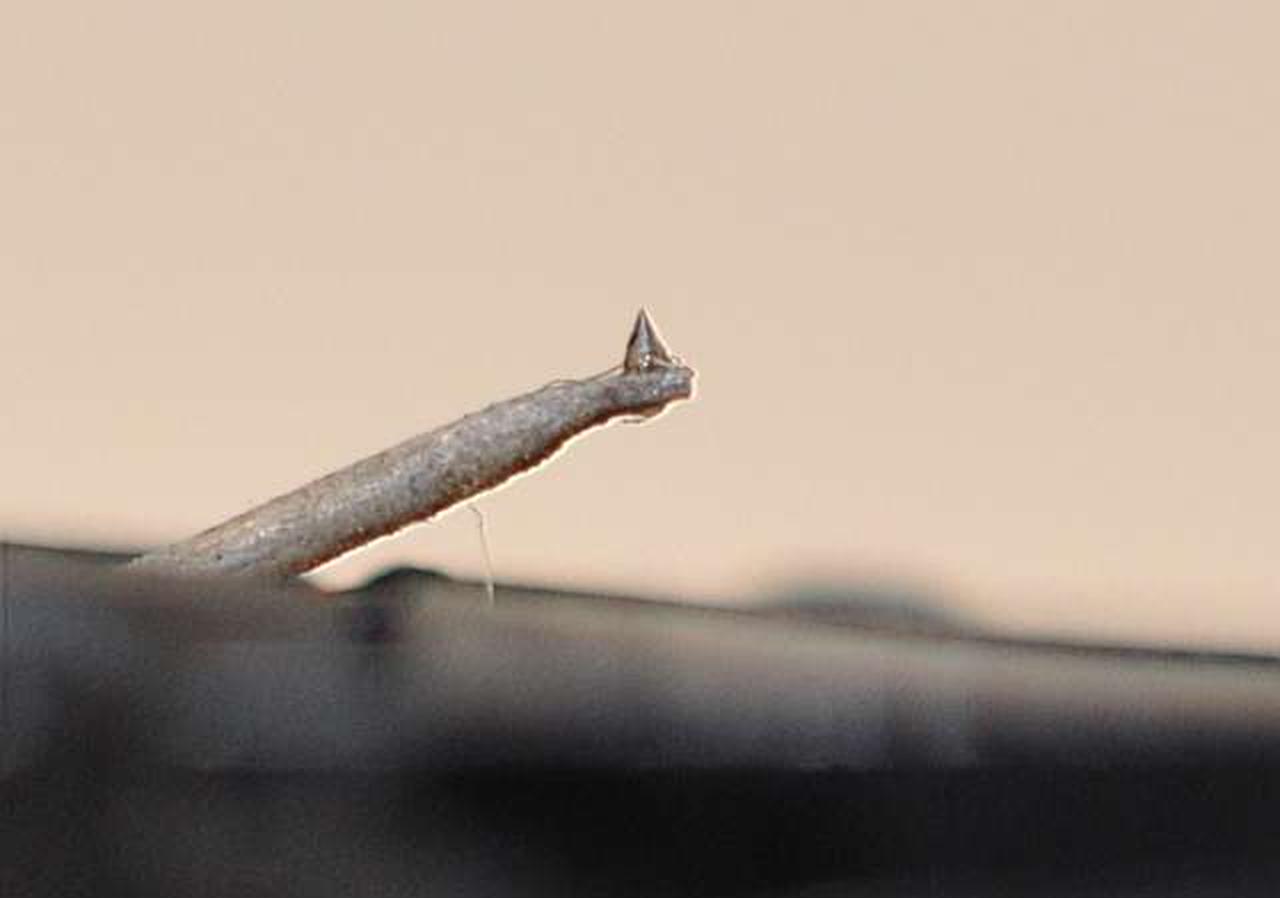 しっかりしたチップです