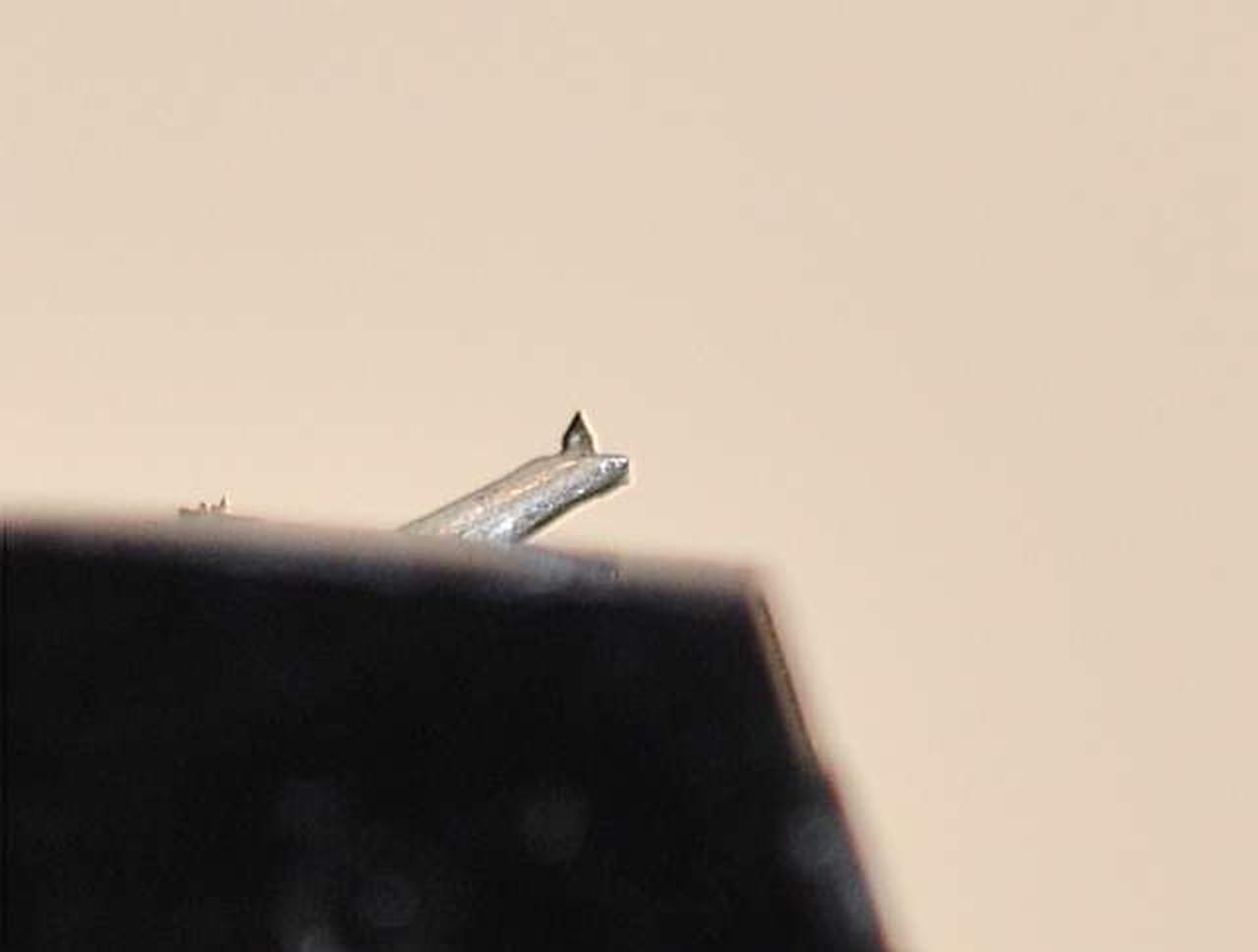 しっかり残っているチップです