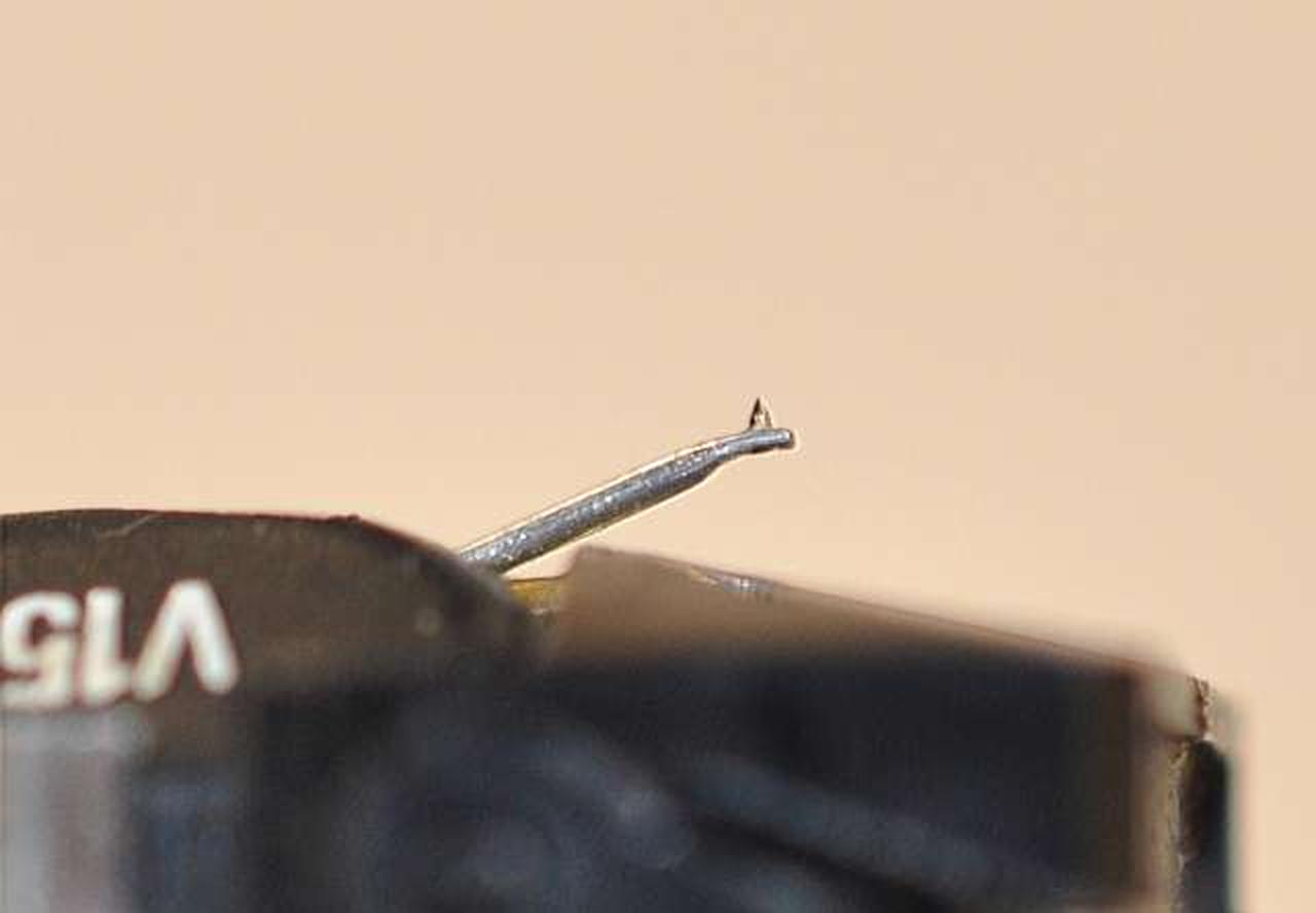 きれいなチップです