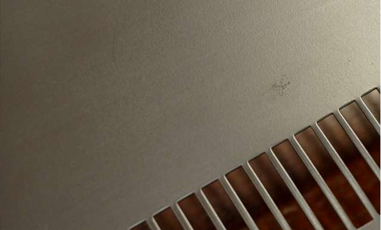 保護ネットにキズ