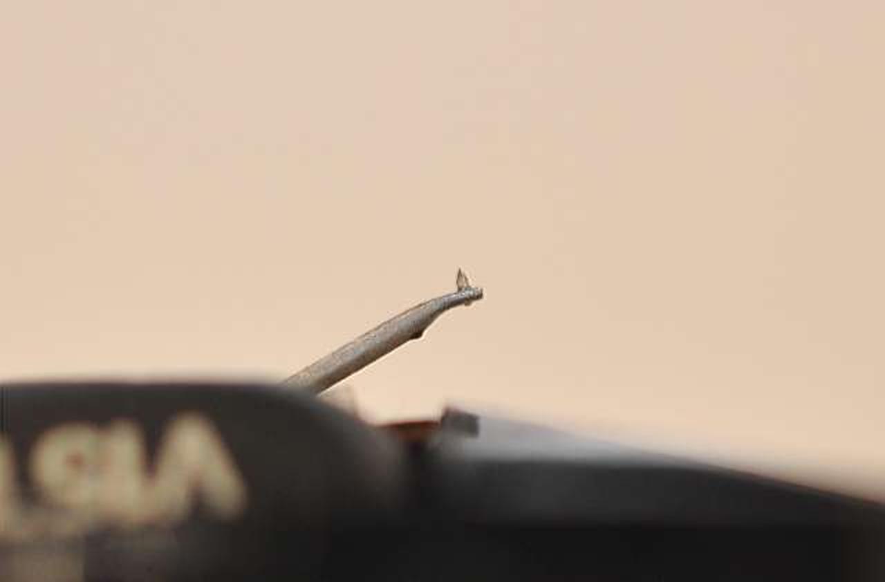 地も見えて綺麗なチップです