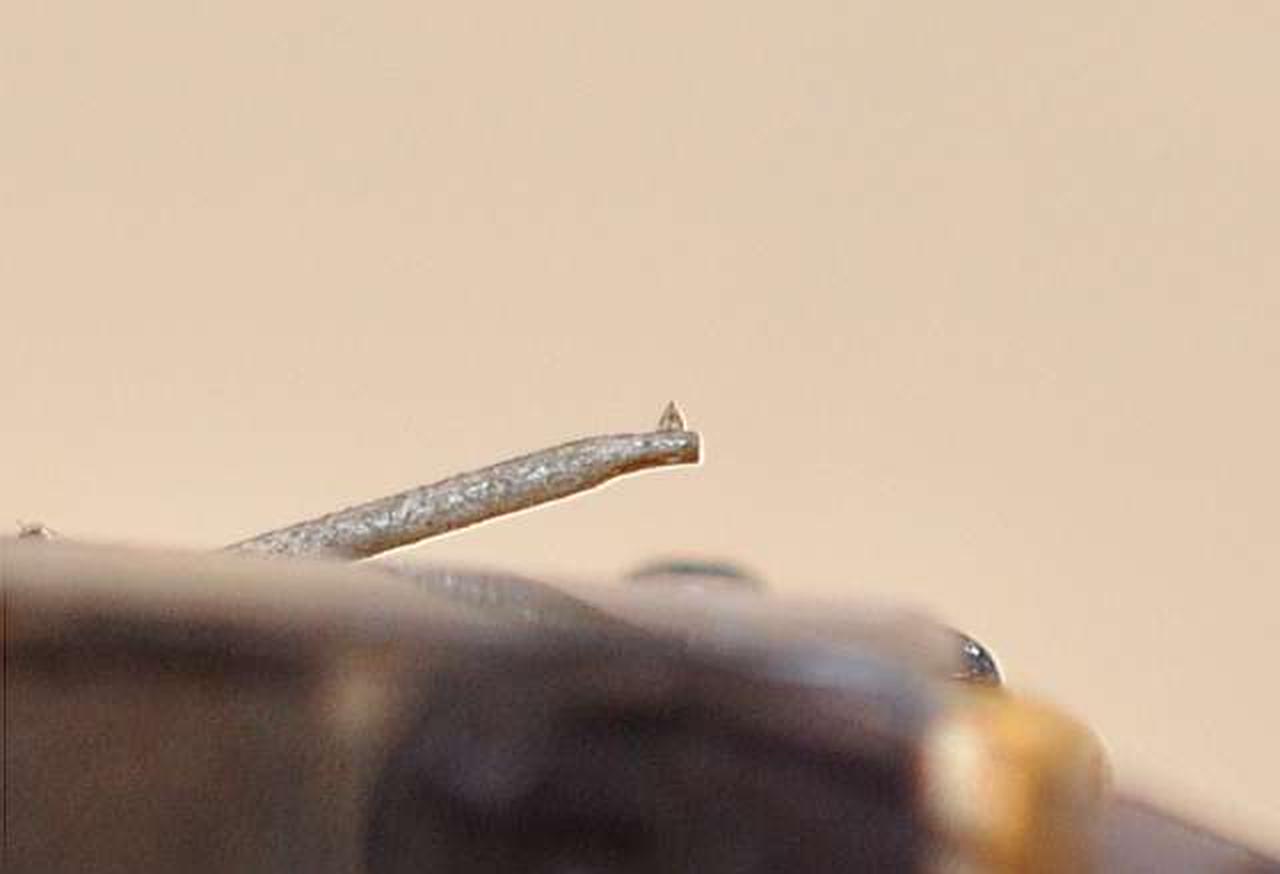 きれいなチップです