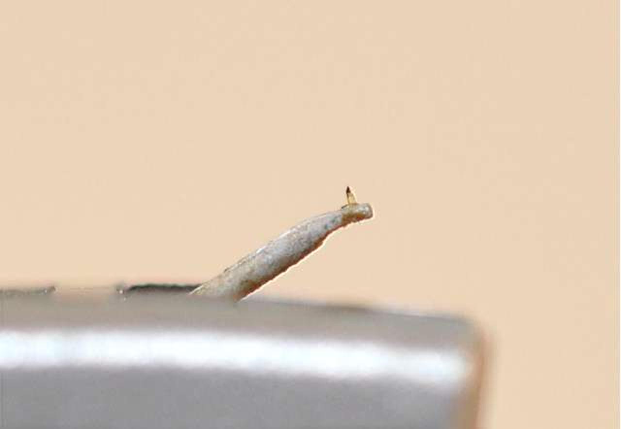 地も見えて綺麗なチップです