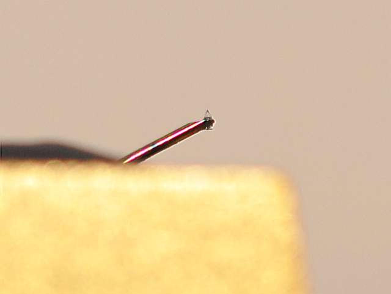 地も見えてしっかり残っています