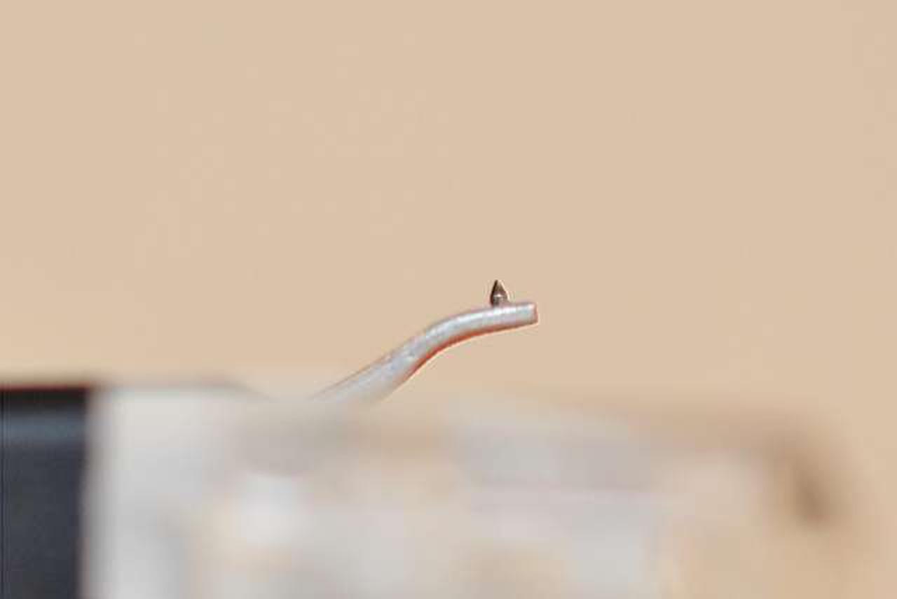 しっかり残ってきれいなチップです