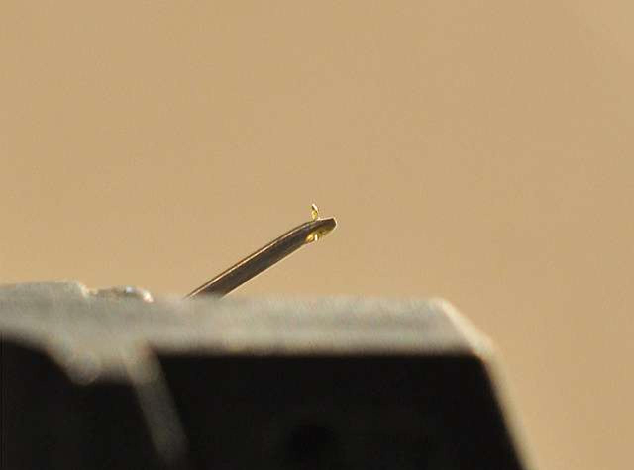 透明感のあるきれいなチップです