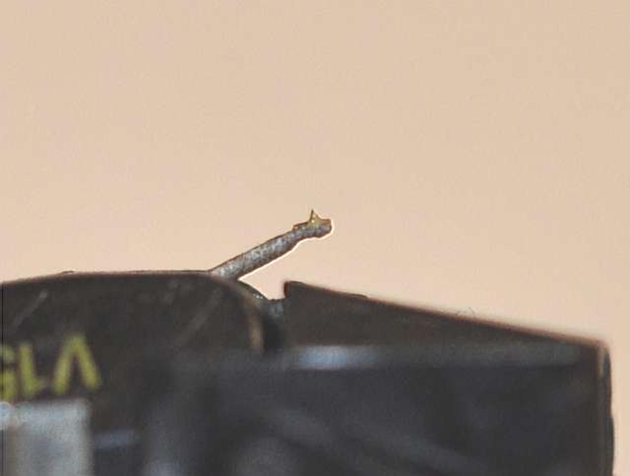 オリジナル針　針先はしっかり残っています