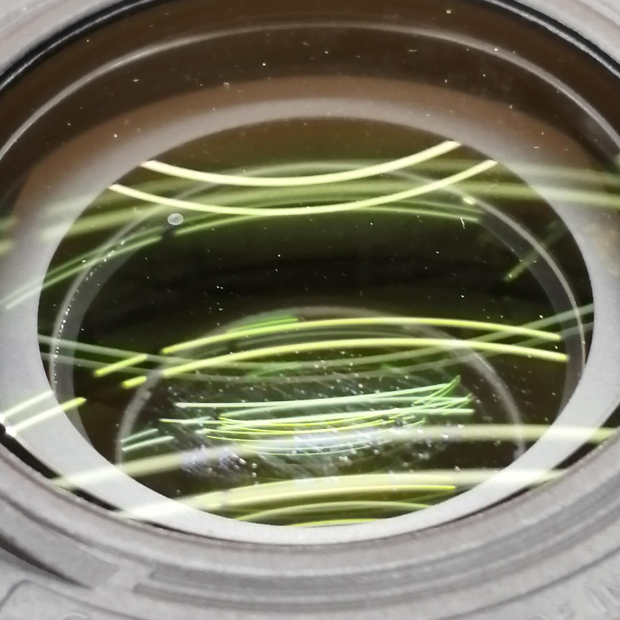 マウント側に白い点