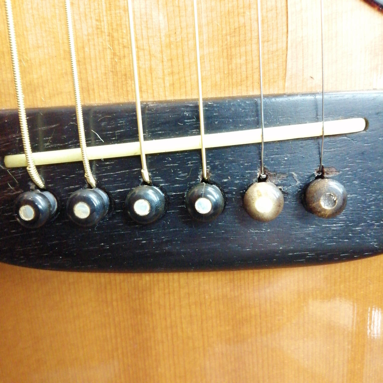 キャッツアイ(CAT'S EYES)|アコースティックギター/CE-800T|HARDOFF