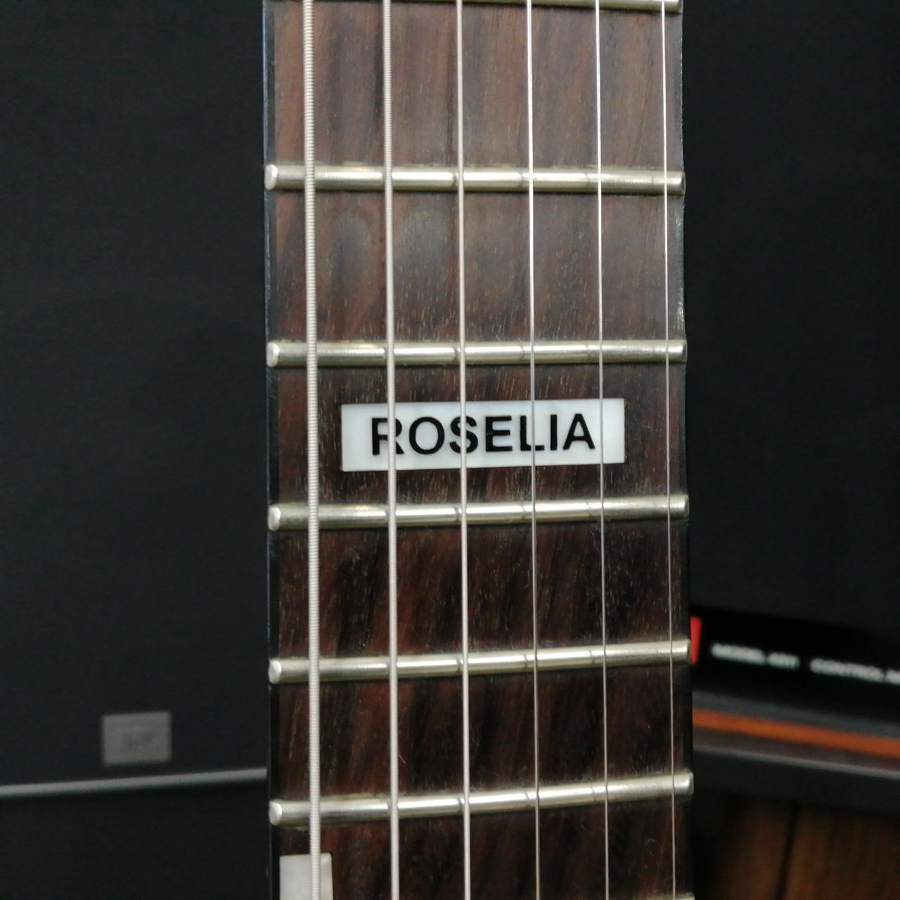 美品　エレキギター　エレキ　ギター　音楽 MOMOSE モモセ Limited Model MT-HOLLOW QT SP 25/E BK-B エレキ