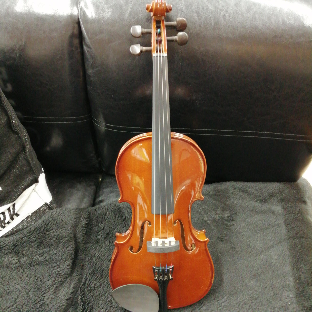 cathedral 弦楽器 Violin バイオリン 4/4サイズ VS-0 CATHEDRAL|ヴァイオリン/VS-0-4/4|HARDOFFオフモール（オフモ