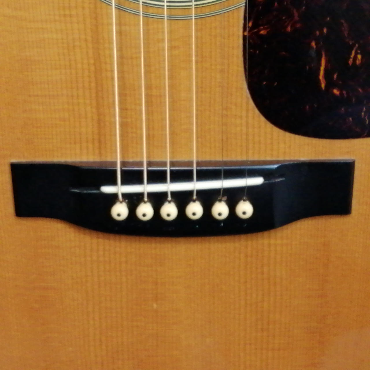 TOKAI 東海楽器 TCM-50V アコースティックギター 管理No.※31