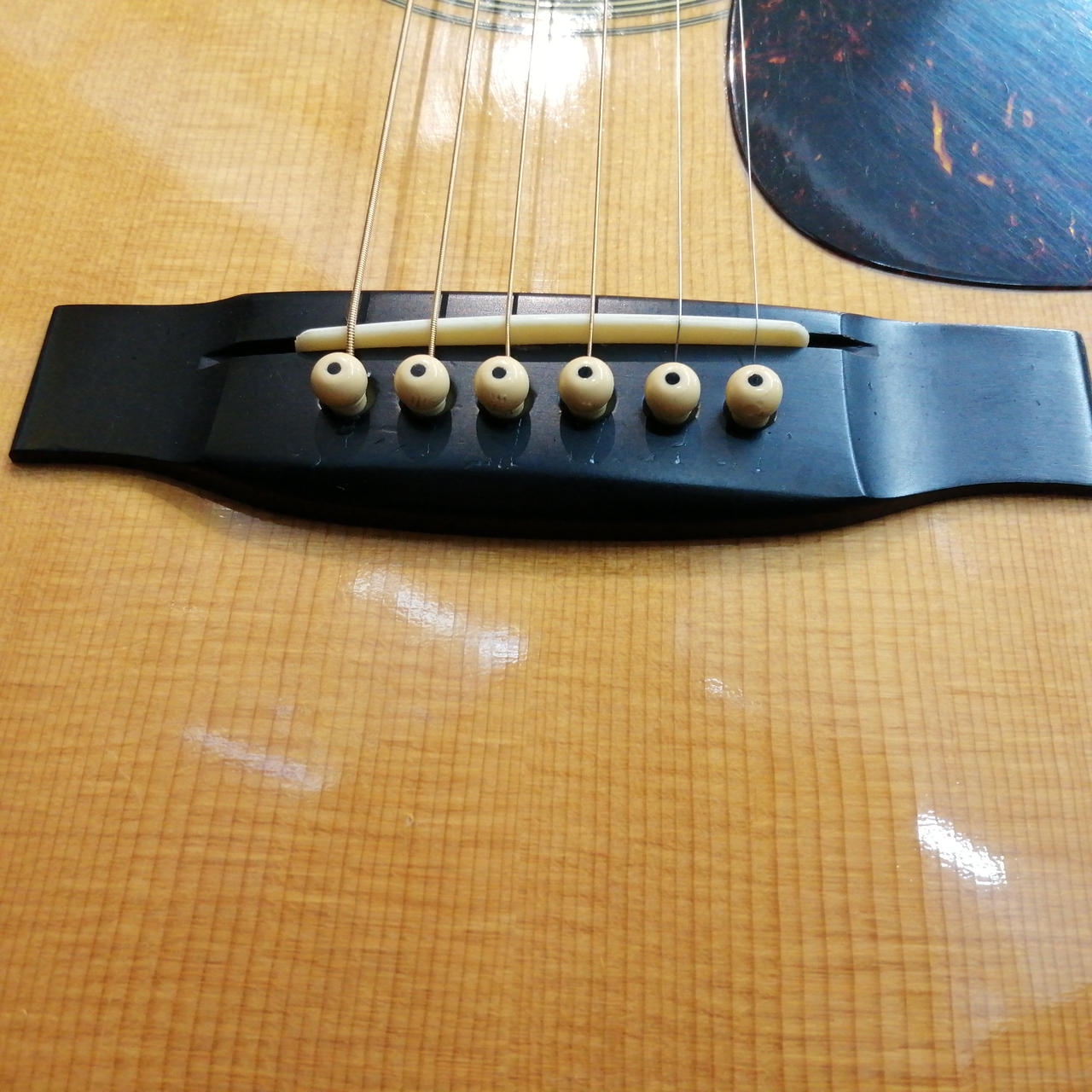 TOKAI 東海楽器 TCM-50V アコースティックギター 管理No.※31 TOKAI 東海楽器 TCM-50V アコースティックギター 管理No.※31