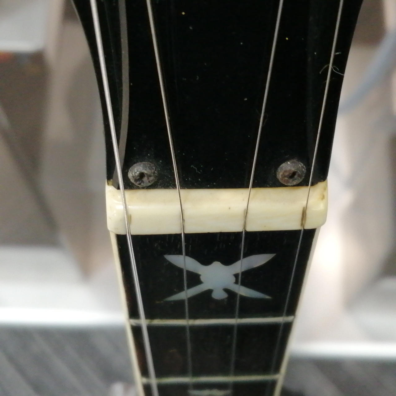 TOKAI|5弦バンジョー/HUMMING BIRD|HARDOFFオフモール（オフモ