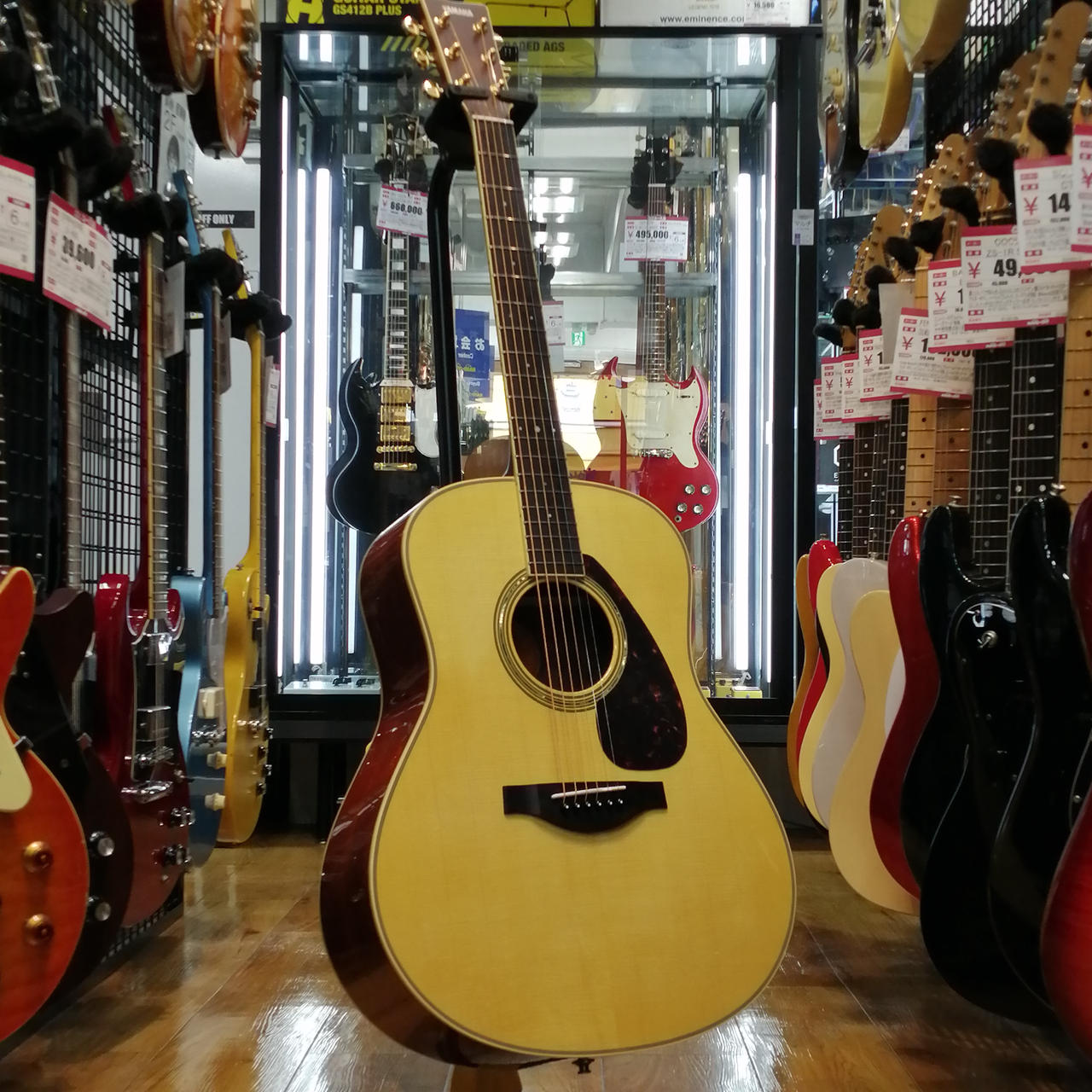 Maison FA-740D フルアコースティック 補修アリ MATON SRS808C|ドルフィンギターズ