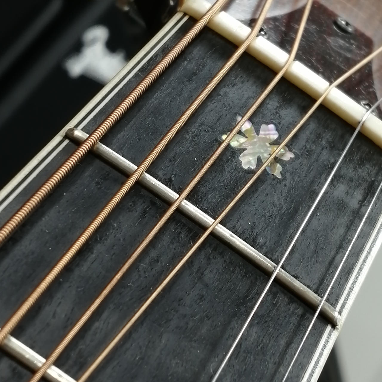 アコースティックギター　Tama TAMA|アコースティックギター|HARDOFFオフモール（オフモ