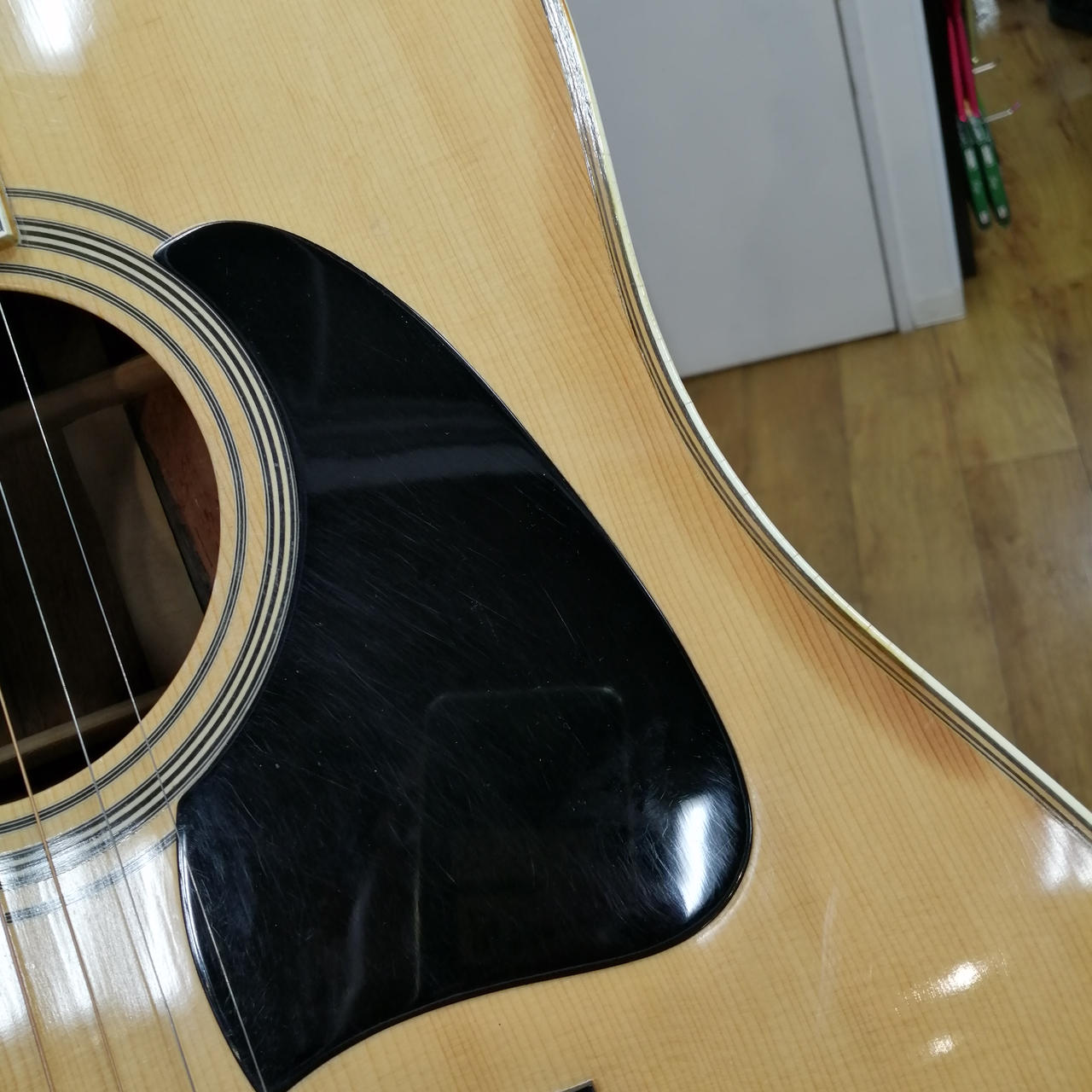 アコースティックギター　Tama TAMA|アコースティックギター|HARDOFFオフモール（オフモ