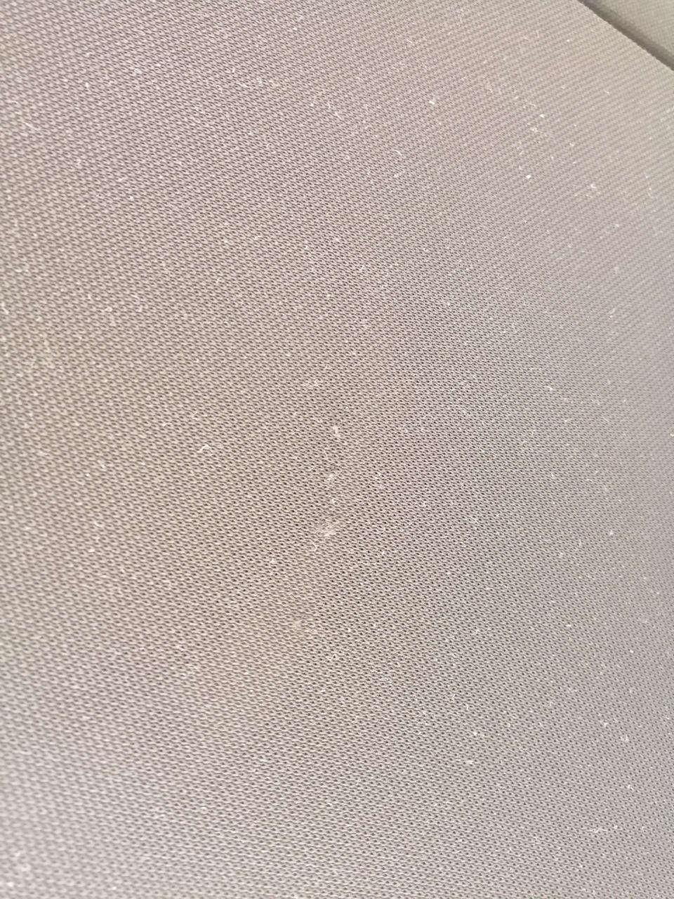 ネットに毛玉あります