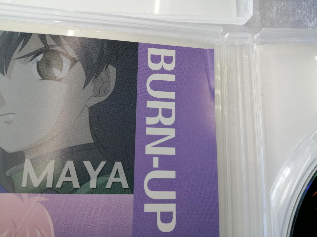 折り目あります