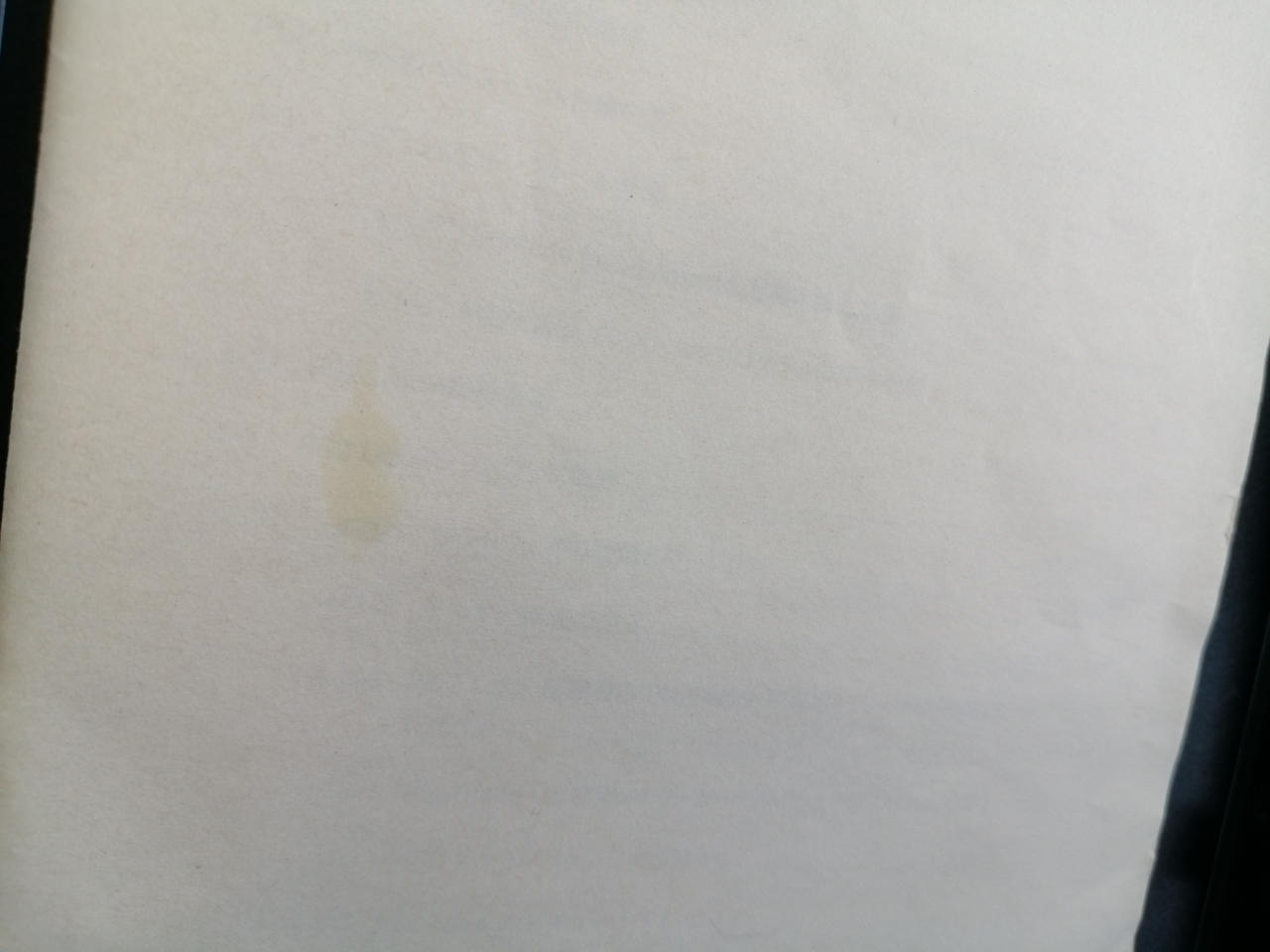 取扱説明書シミあります