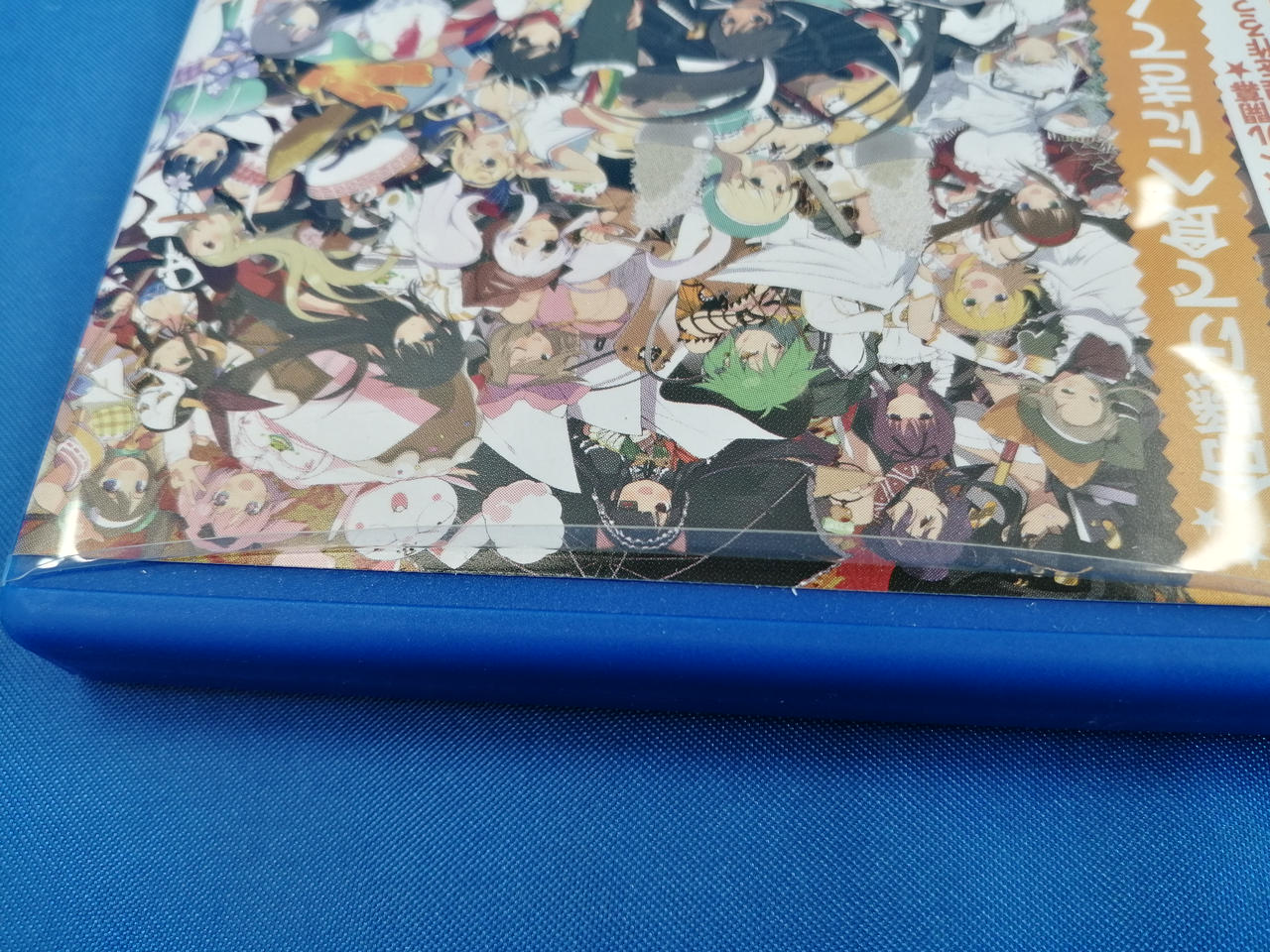 ケース傷みあります