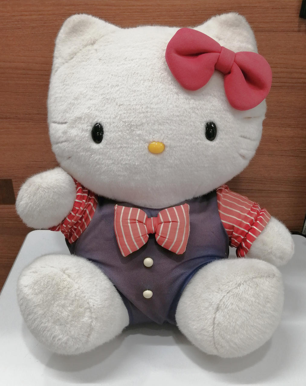 全体にヨゴレ、イタミ、色ヤケ