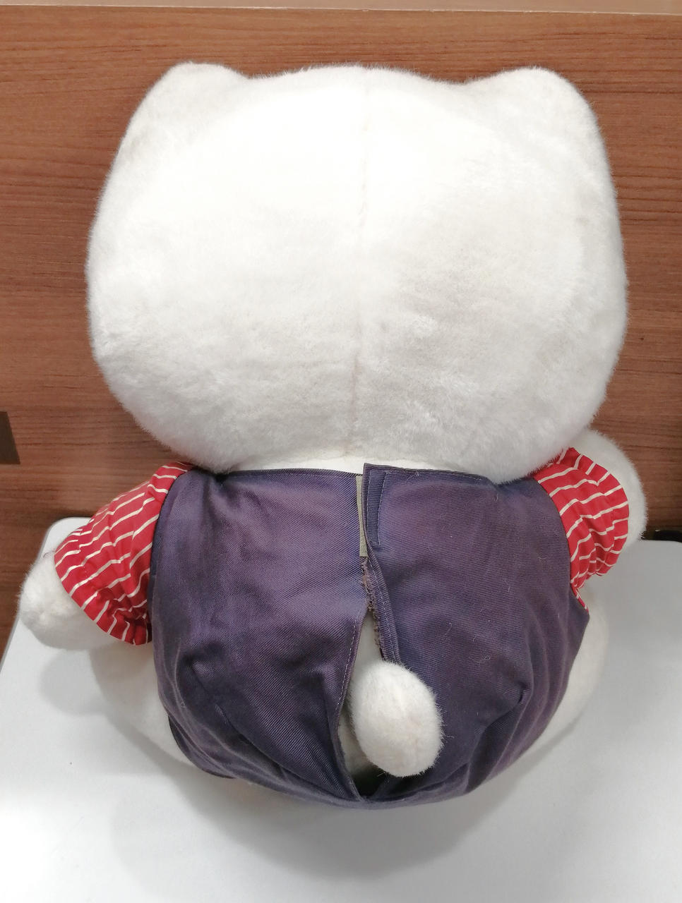 全体にヨゴレ、イタミ、色ヤケ