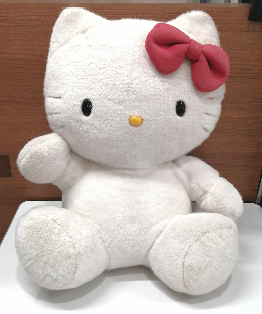 全体にヨゴレ、イタミ、色ヤケ