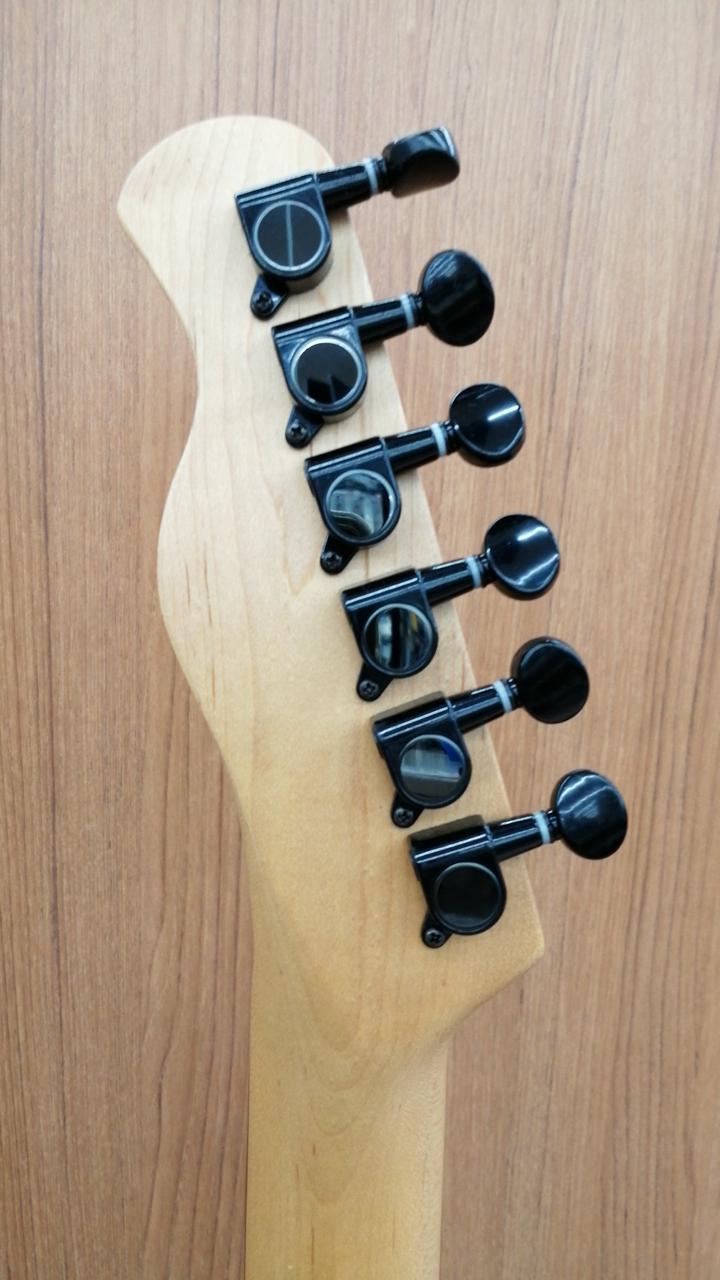 Bacchus Telecasterスタイル エレキギター♪値段交渉可 Bacchus T-HOLLOW Handmade Series Made in Japan TL Type