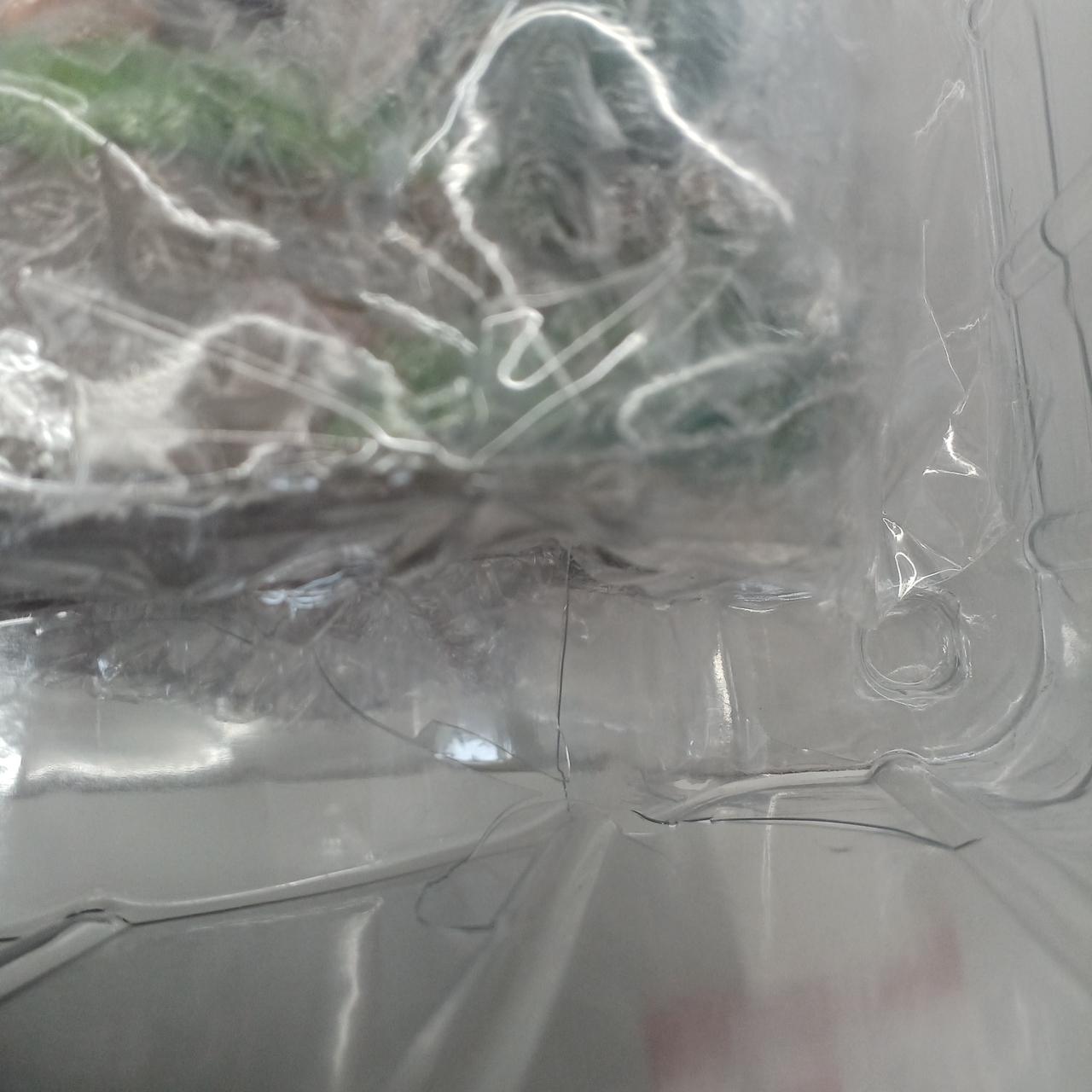 ブリスター破れあり