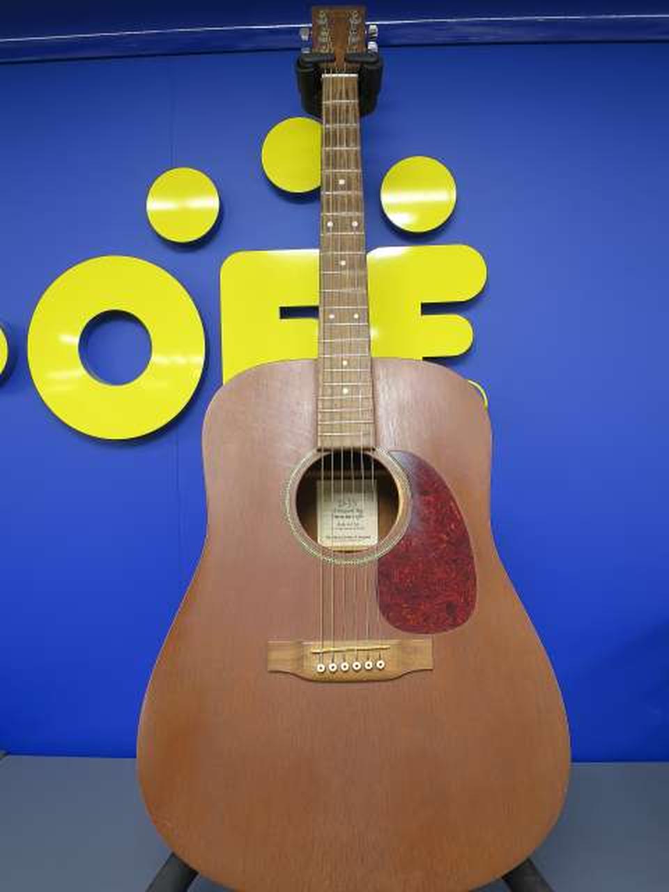 MartinDX1 マーティンギター格安＊たのメル便の為お値下げ不可となり