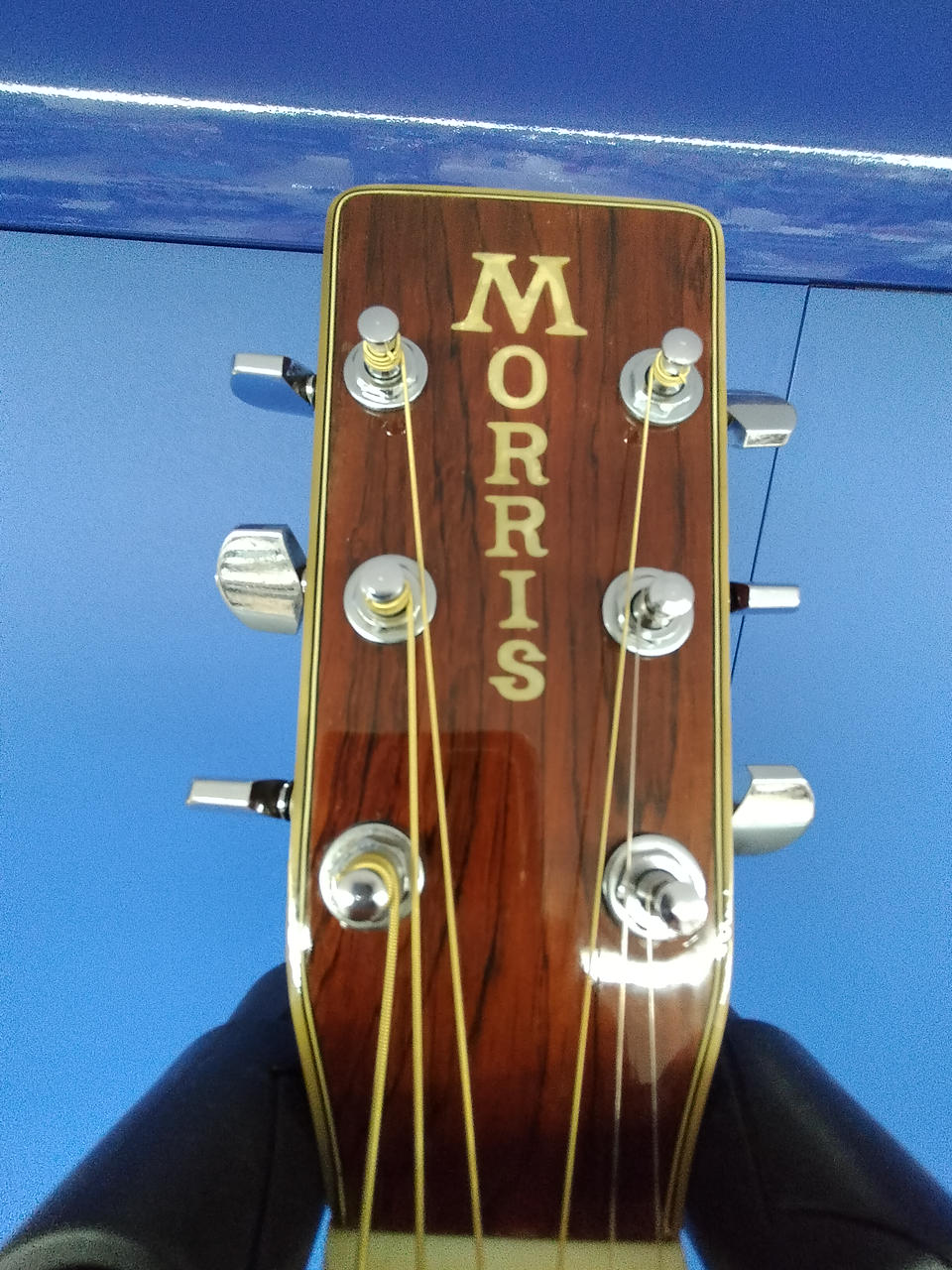 MORRIS|アコースティックギター|HARDOFFオフモール（オフモ