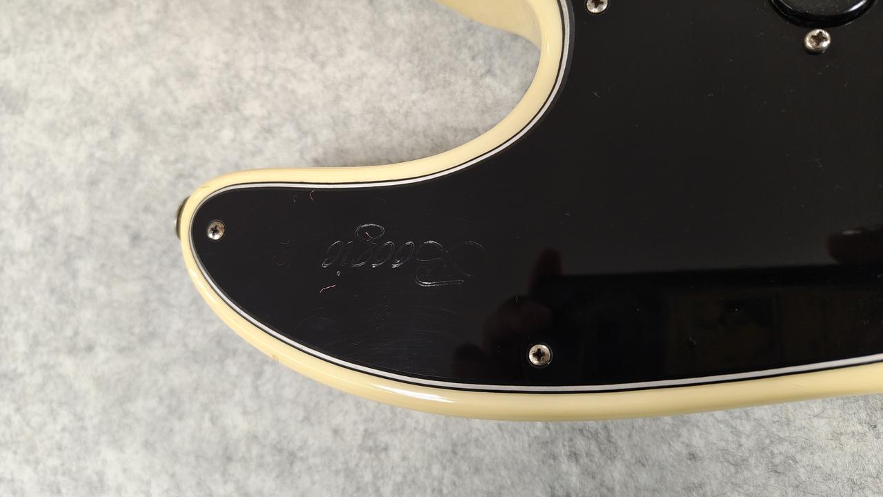 ロゴの金箔が剥がれています