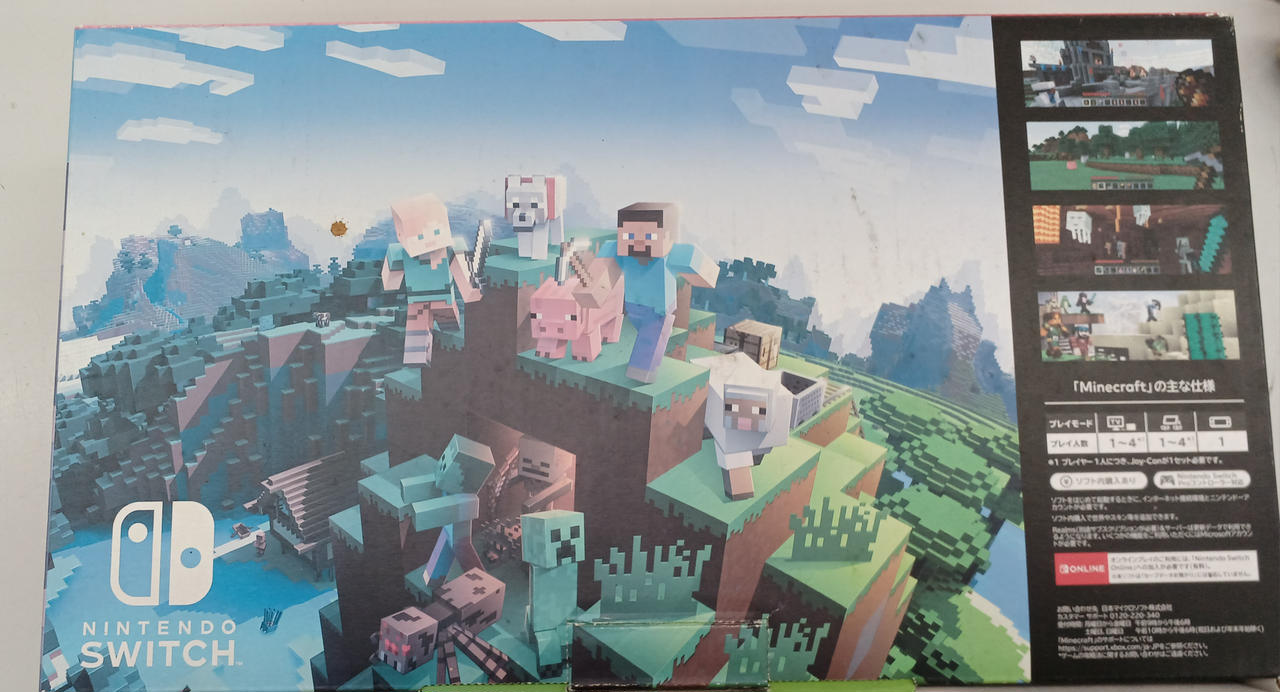 Switchとマイクラ 4580000000498_9999.jpg