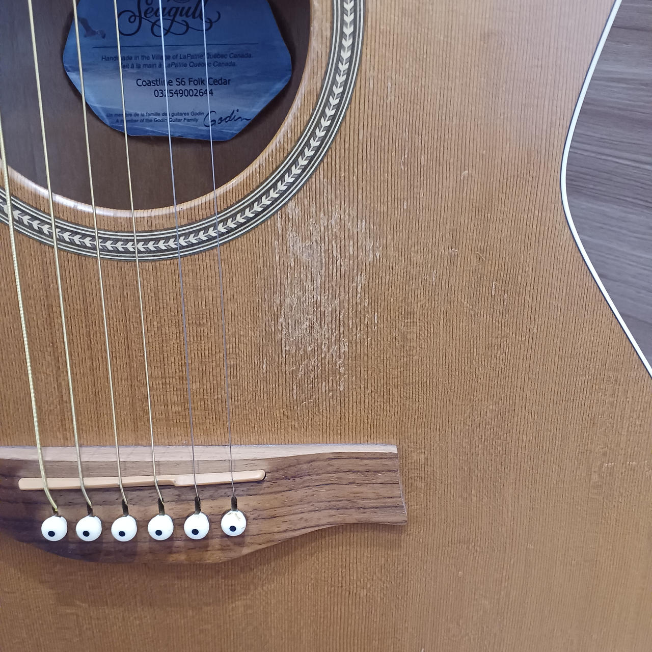 シーガル(SEAGULL)|アコースティックギター|HARDOFFオフモール（オフモ