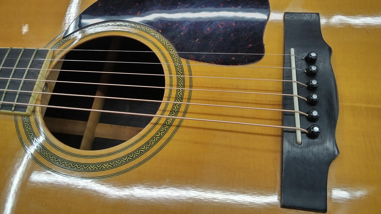 ホーナー(HOHNER)|アコースティックギター|【ハードオフ公式通販】オフ