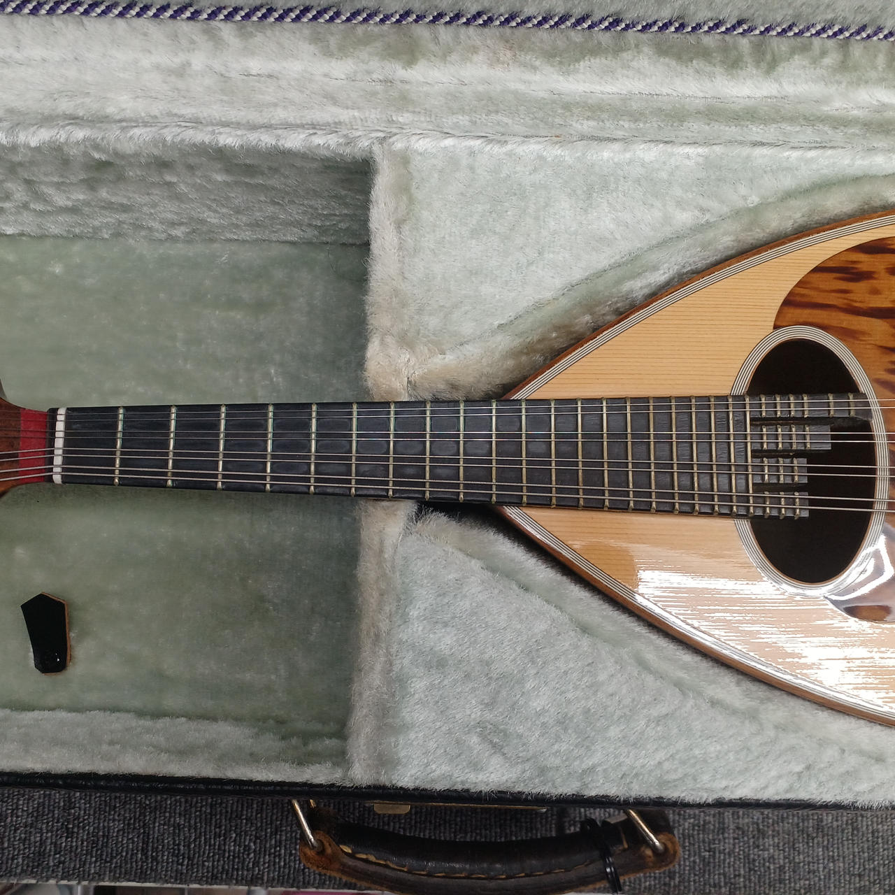 RAFFAELE CALACE|マンドリン|【ハードオフ公式通販】オフモール