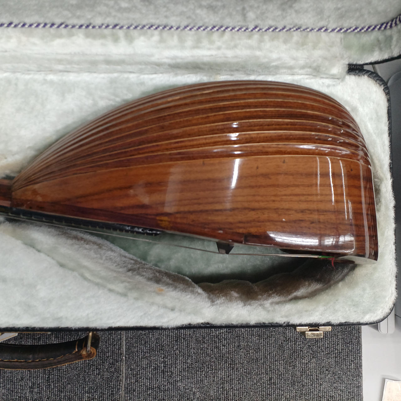 RAFFAELE CALACE|マンドリン|【ハードオフ公式通販】オフモール