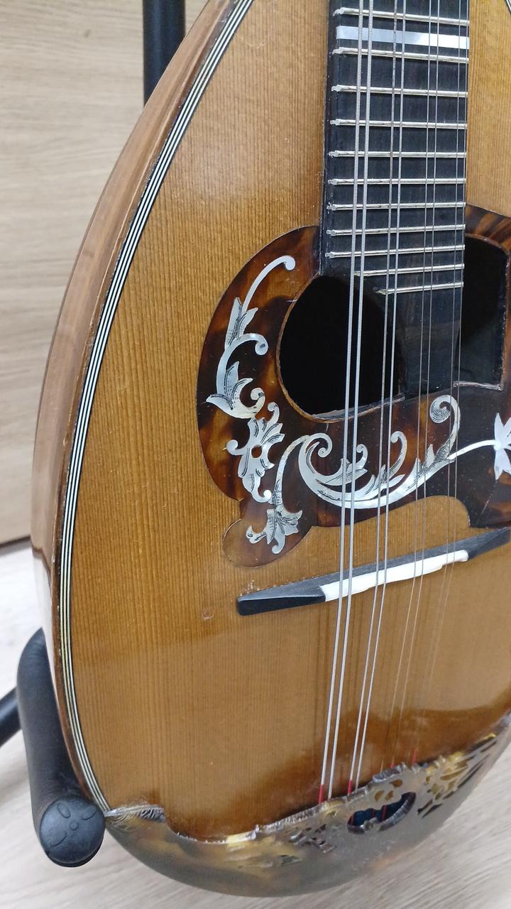 RAFFAELE CALACE|マンドリン|【ハードオフ公式通販】オフモール