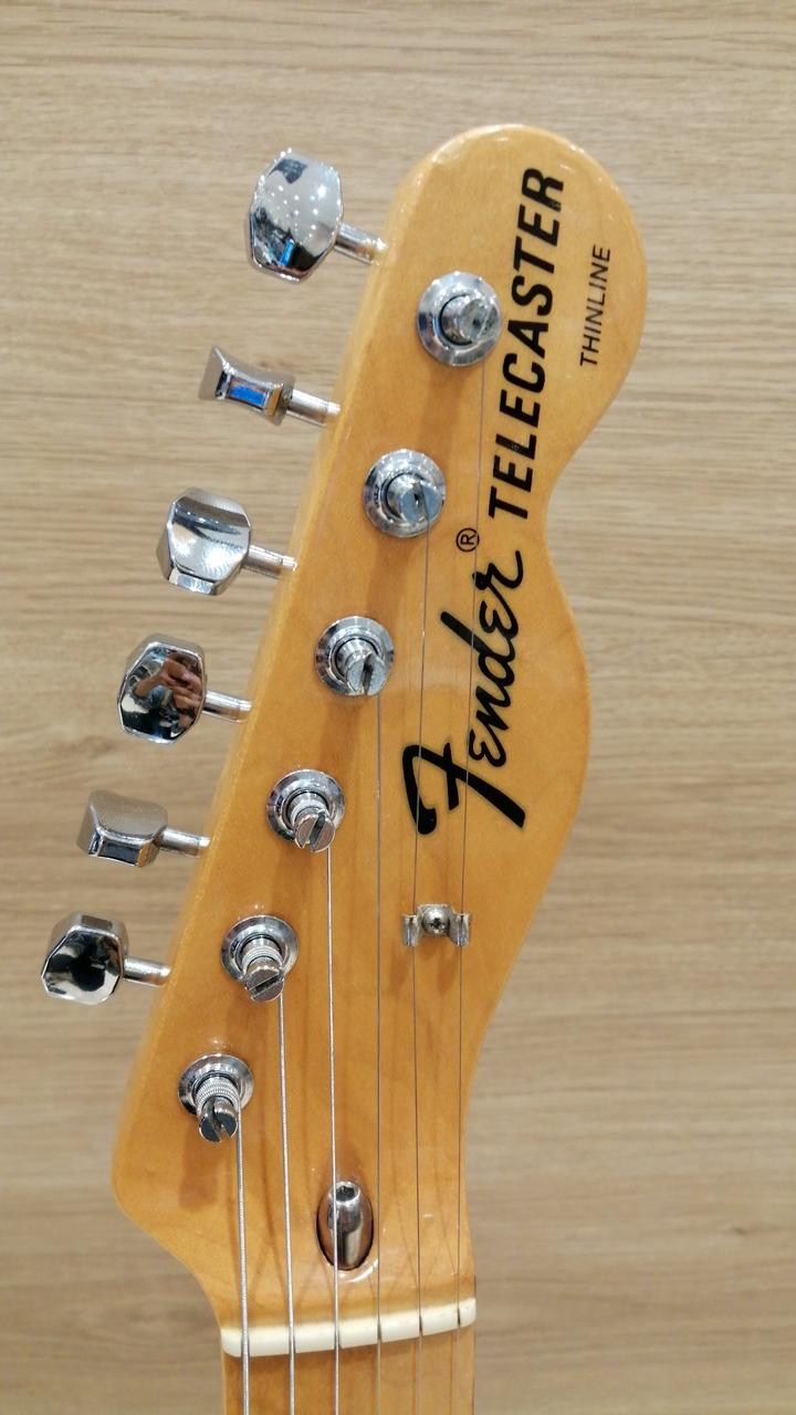 フェンダーメキシコ(FENDER MEXICO)|エレキギター|HARDOFFオフ