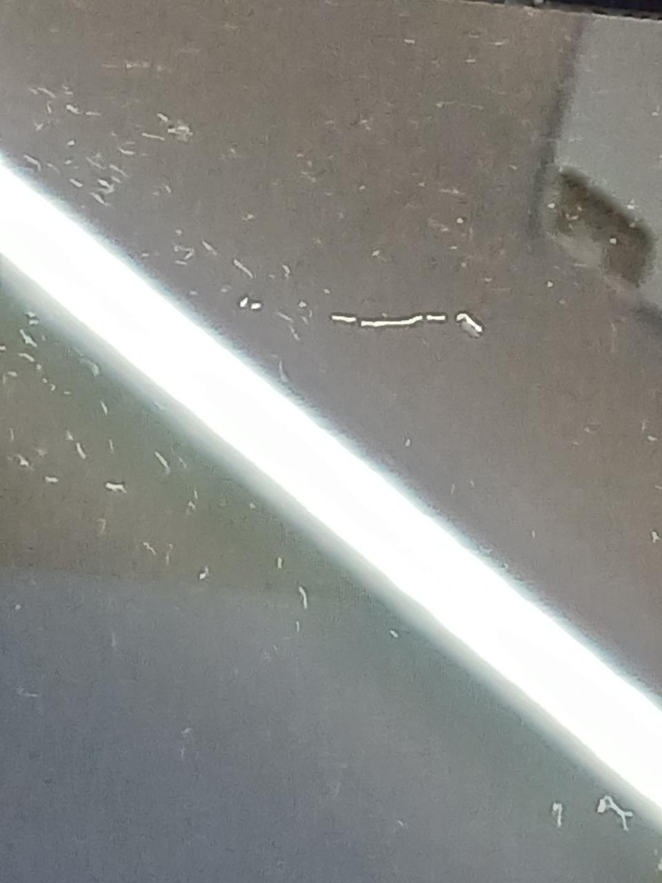 画面キズ※1.5cm程の小さいキズです