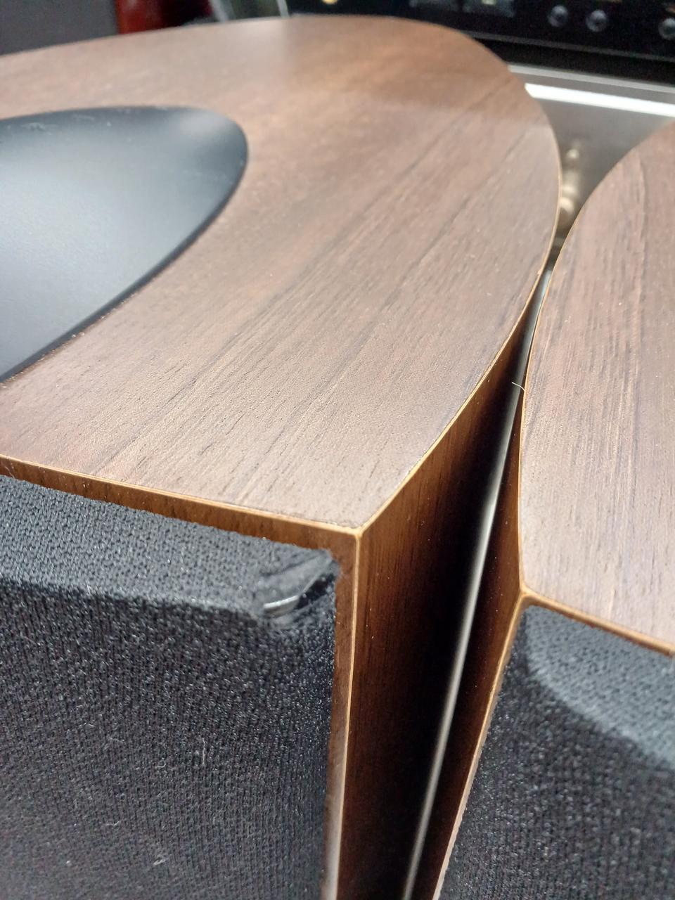 サランネット破れあります