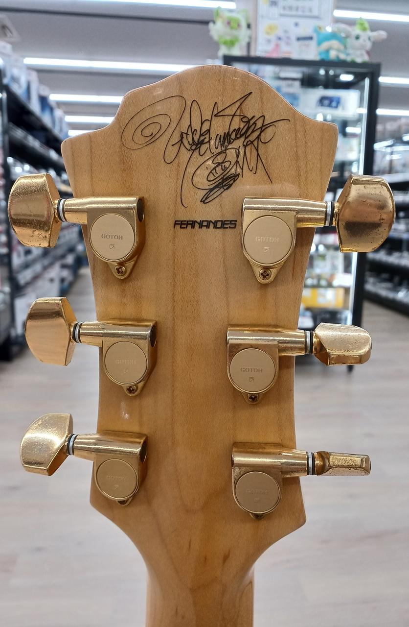 Fernandes フェルナンデス エレキギター ソフトケース付 ジャンク Fernandes フェルナンデス エレキギター ソフトケース付 ジャンク