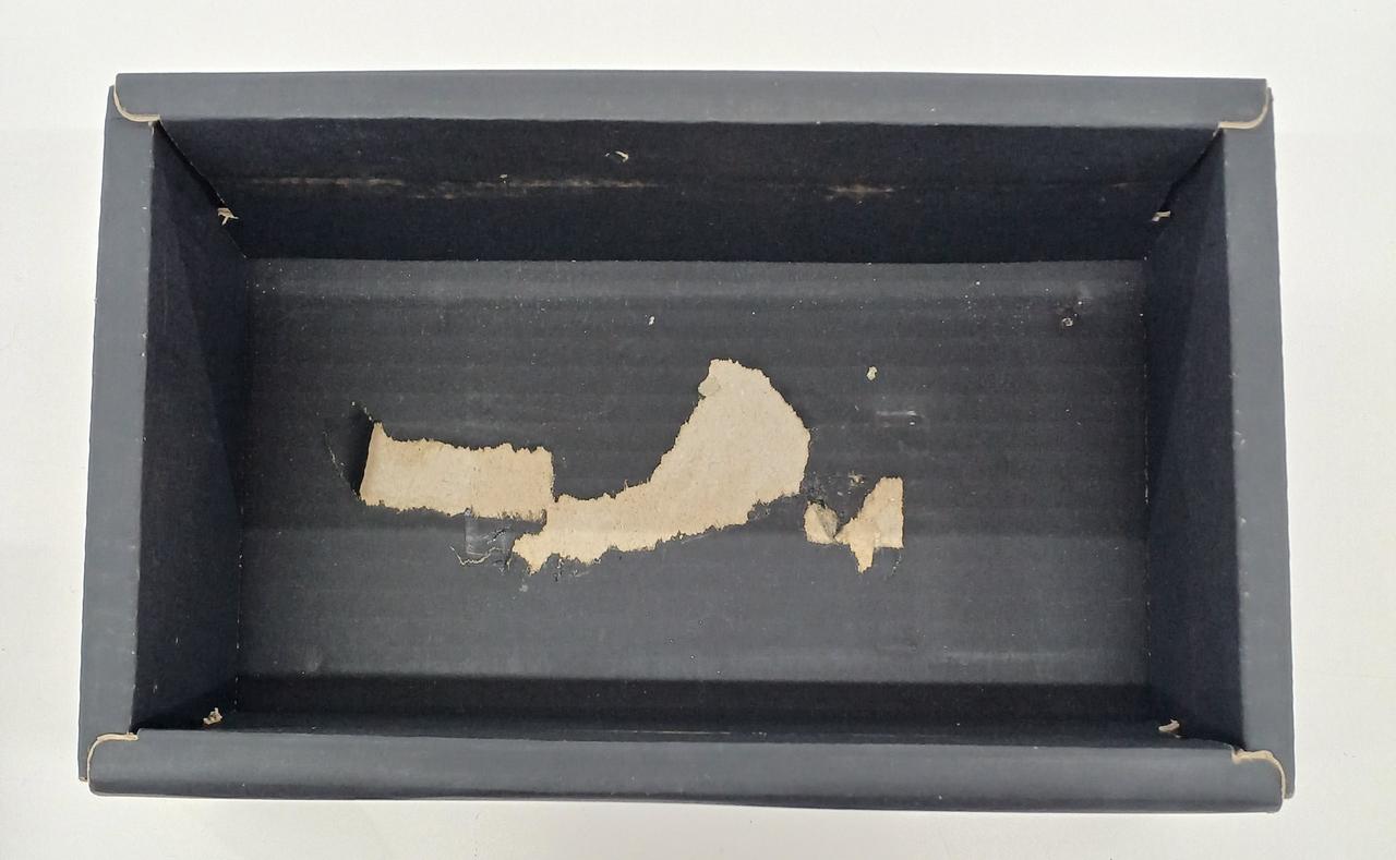 箱内部に破れあり