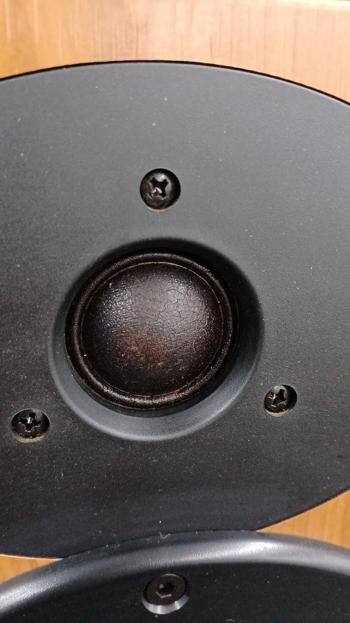 Tannoy Proto J ブックシェルフスピーカー（国内正規未販売）