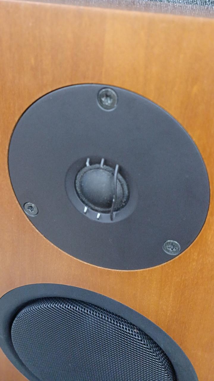 とんちゃん　 Linn ninnka スピーカー 定価35万円 オーディオ専門店 でんき堂スクェア湘南 » 【完売しました】中古